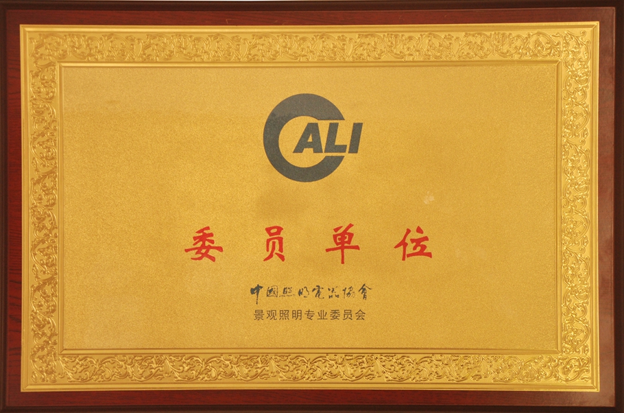 中国照明电器协会委员证书封面