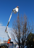 Longman:West Jordan in Utah to Replace 5,000 Streetlights with LEDs